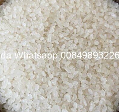 japonica-rice