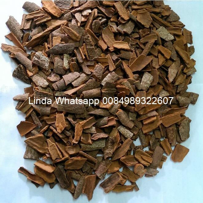 broken cassia KBBC
