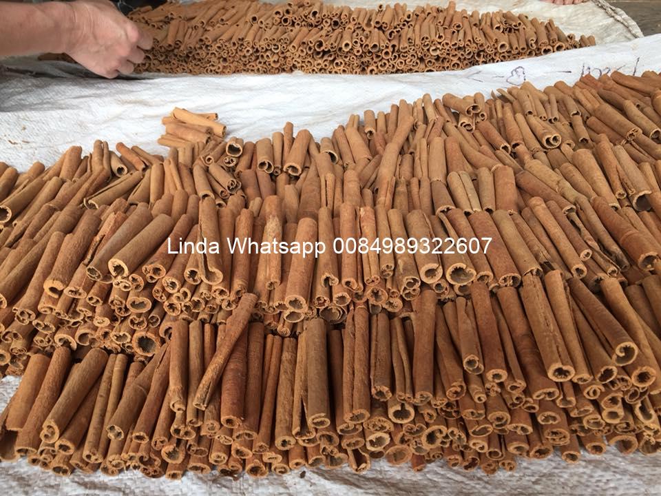 cassia- cinnamon (8)