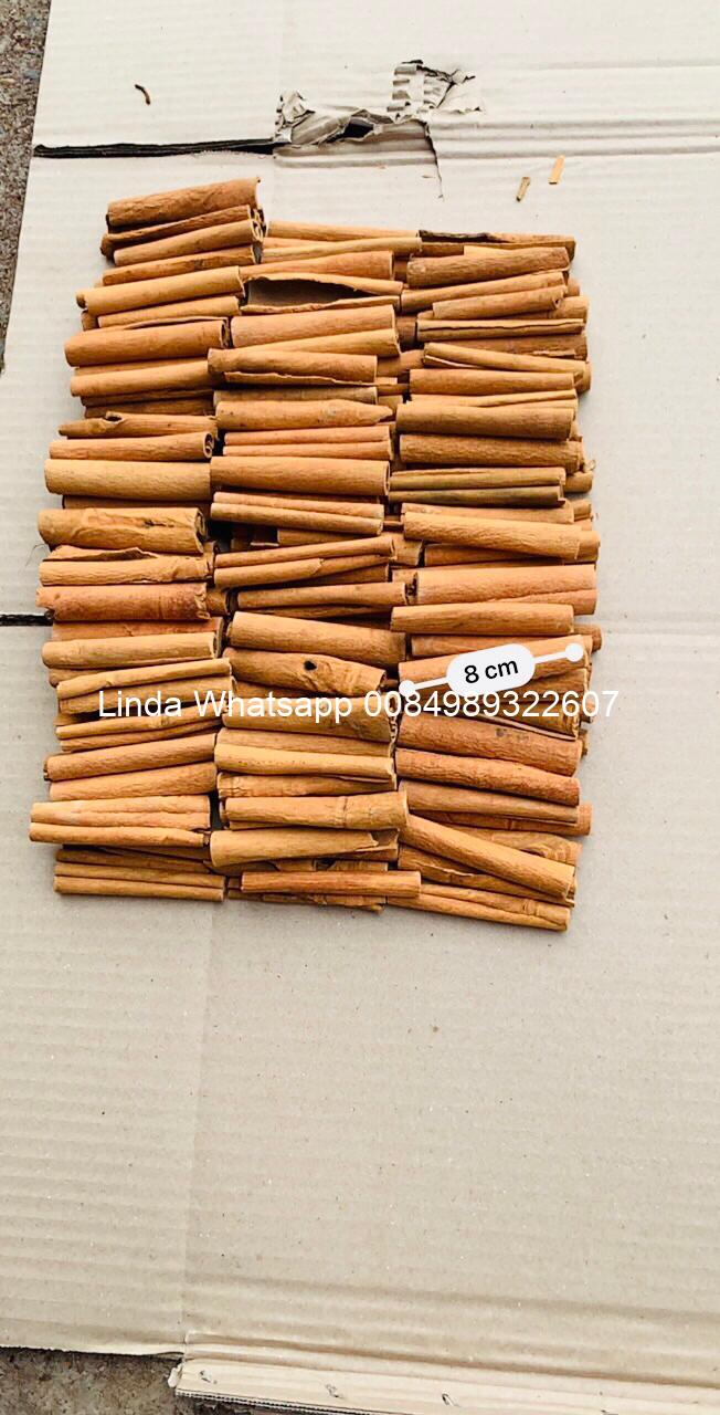 cinnamon_stick (17)