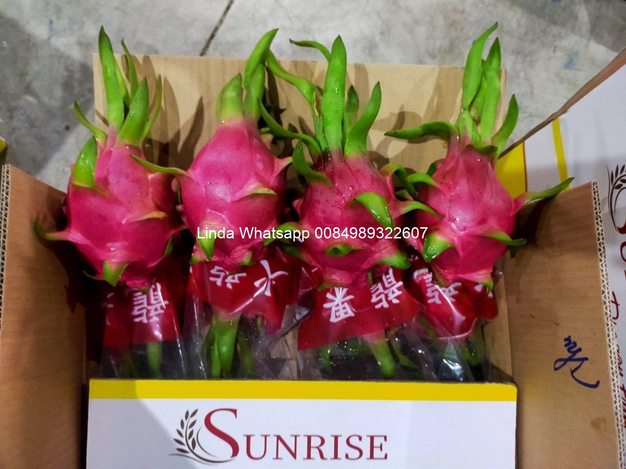 dragon fruit (12)