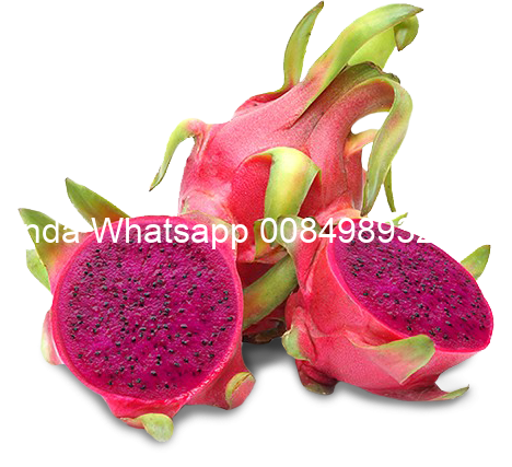 dragon-fruit