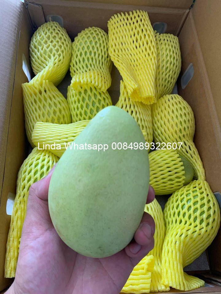 mango (42)