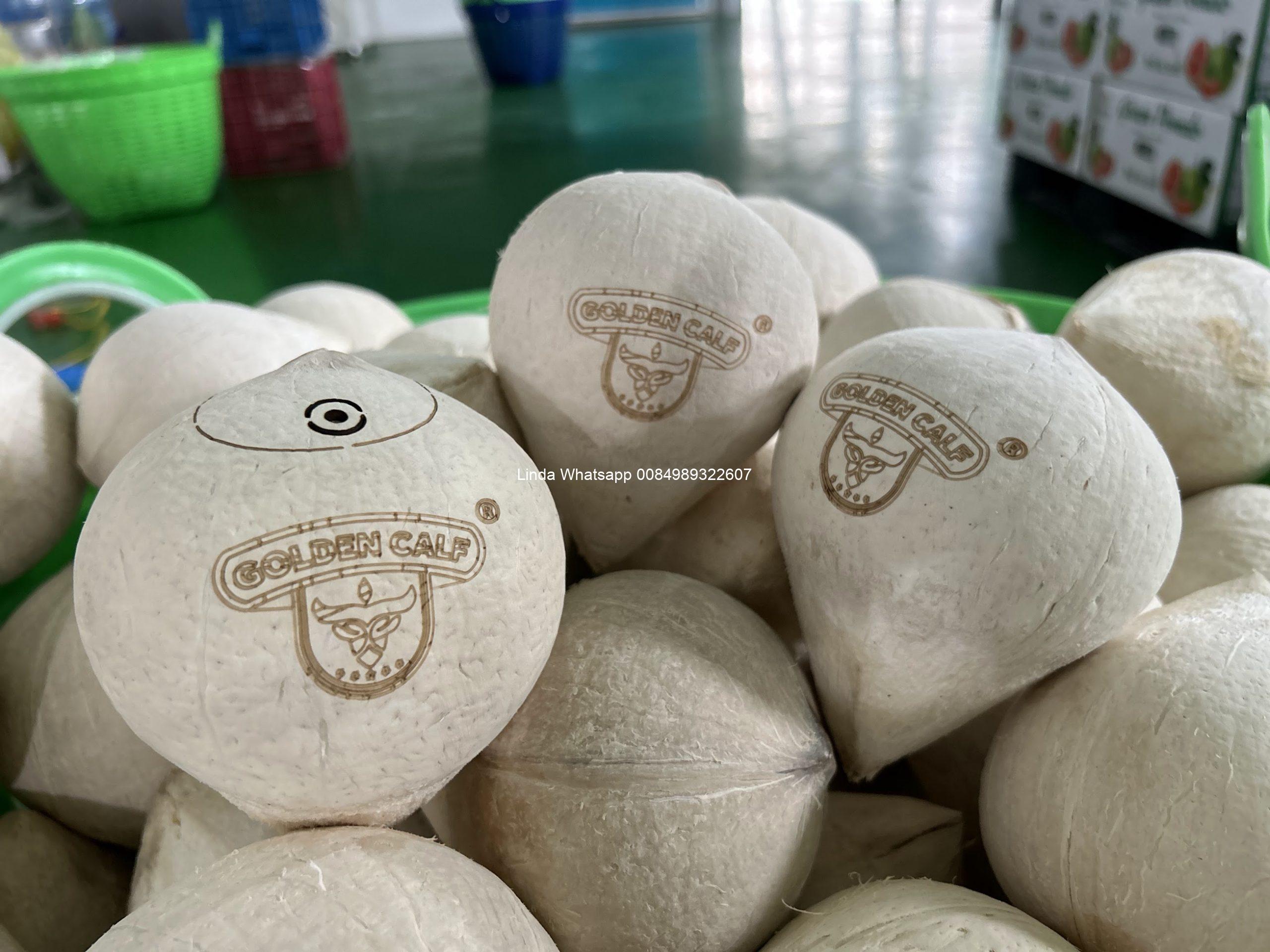 coconut (45)
