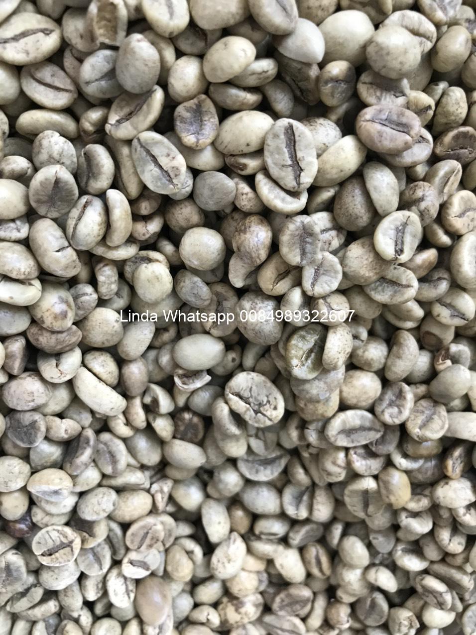 coffee bean