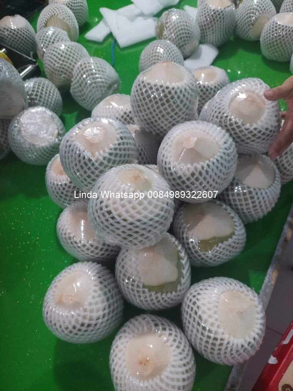 fresh young (1)