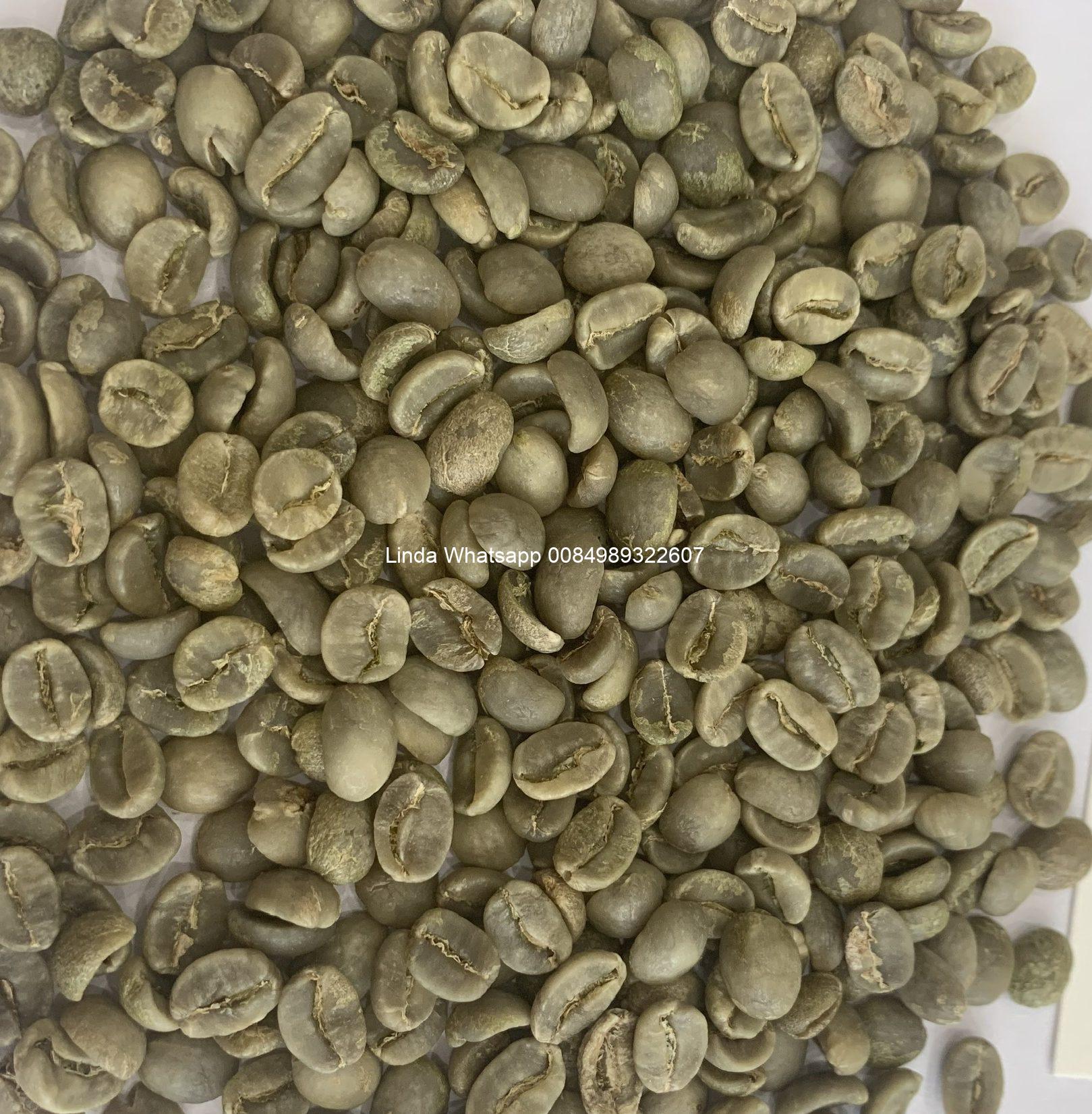 arabica-green-coffee