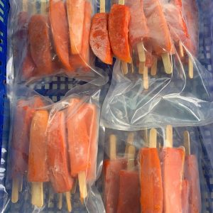 Frozen Papaya ice cream