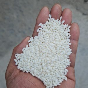 Glutinous rice